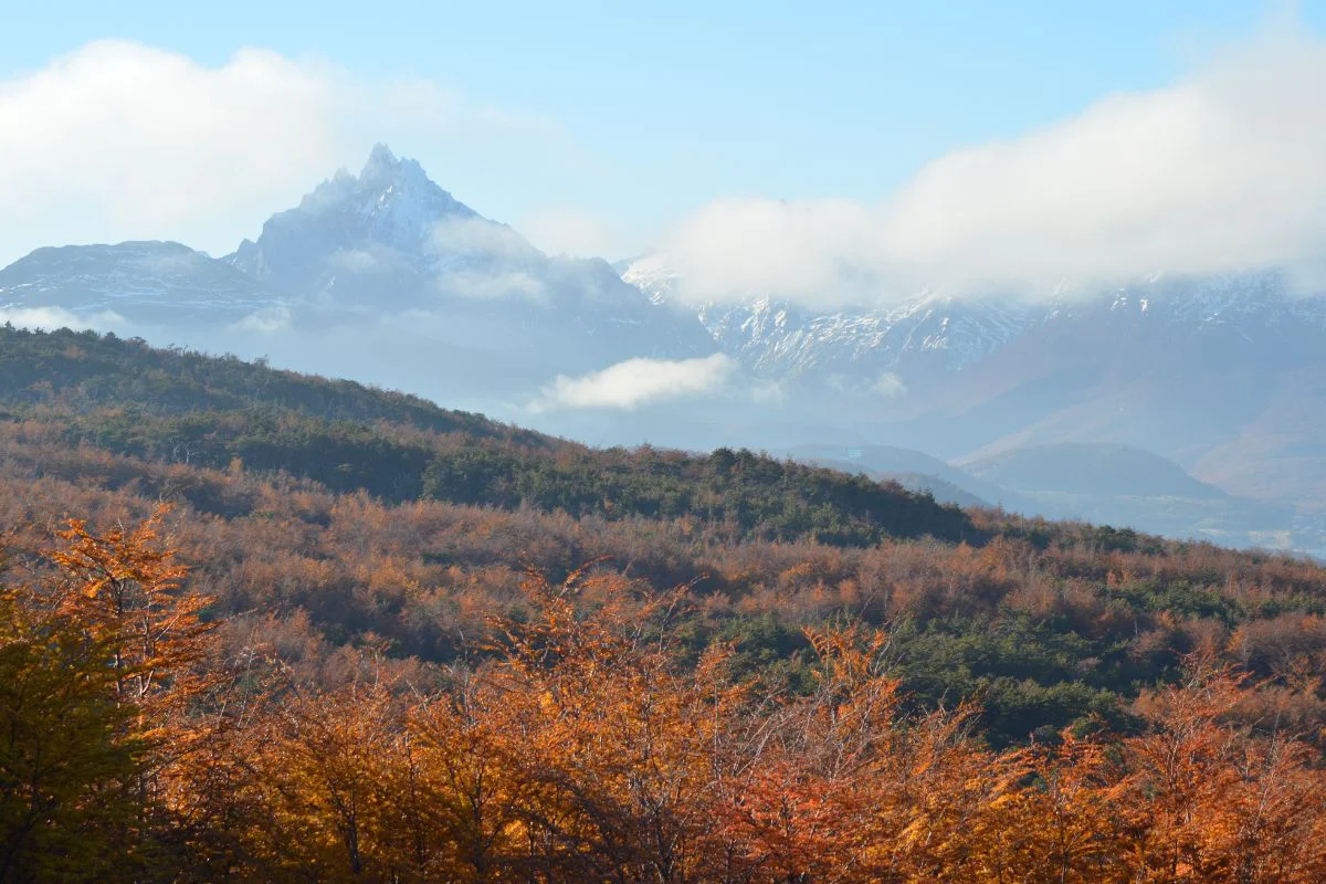 Ushuaia-Turismo-en-Ushuaia-30