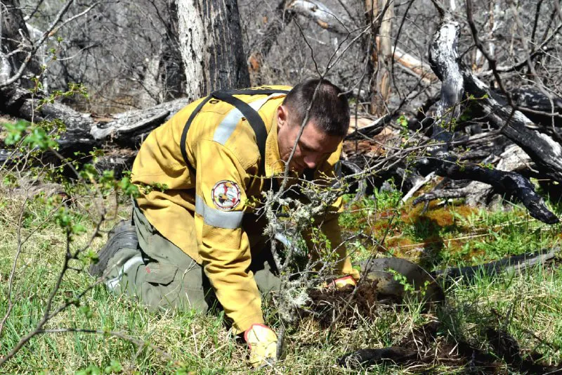 4370ea26-8ea8-4560-97b0-17e1b937e1fd