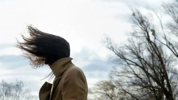 f608x342-134986_164709_0