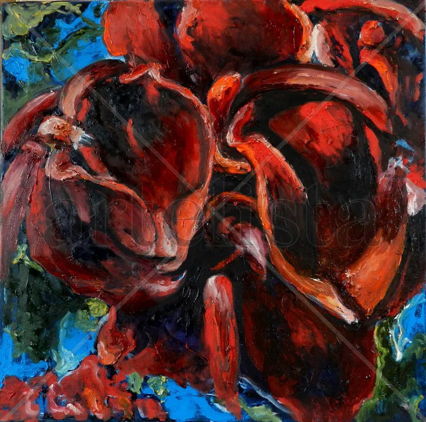 stella-maris-cristobo-pintura-floral-nuestra-flor-de-ceibo