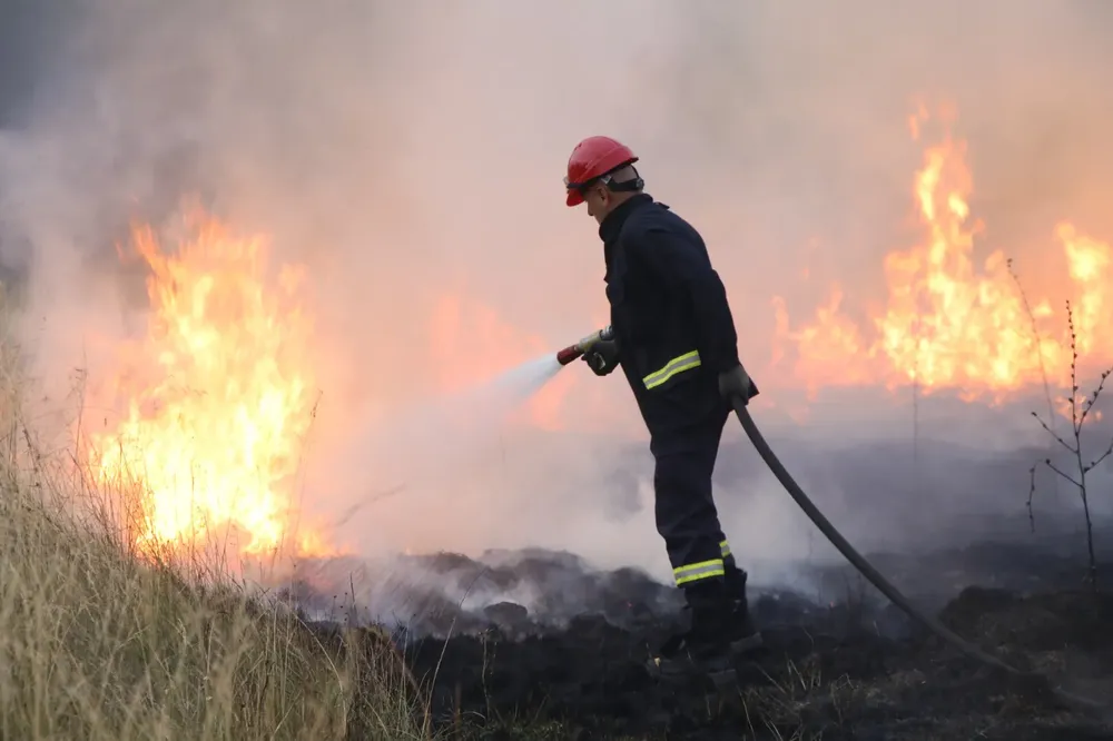 Incendios-Forestales-1