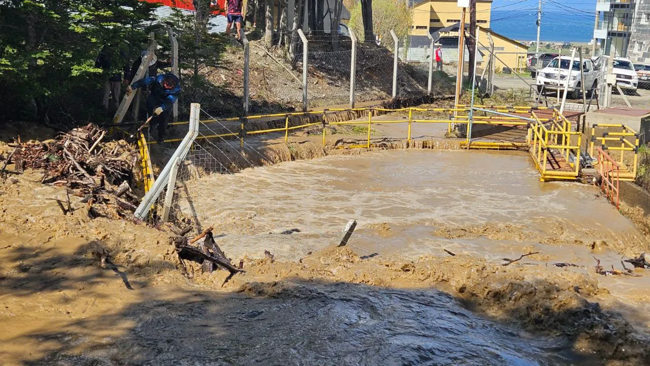 3a6c24d7-4b63-4052-9863-8c4add22e29a