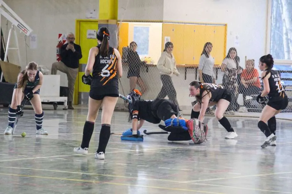 4960785629331958979-1024x682