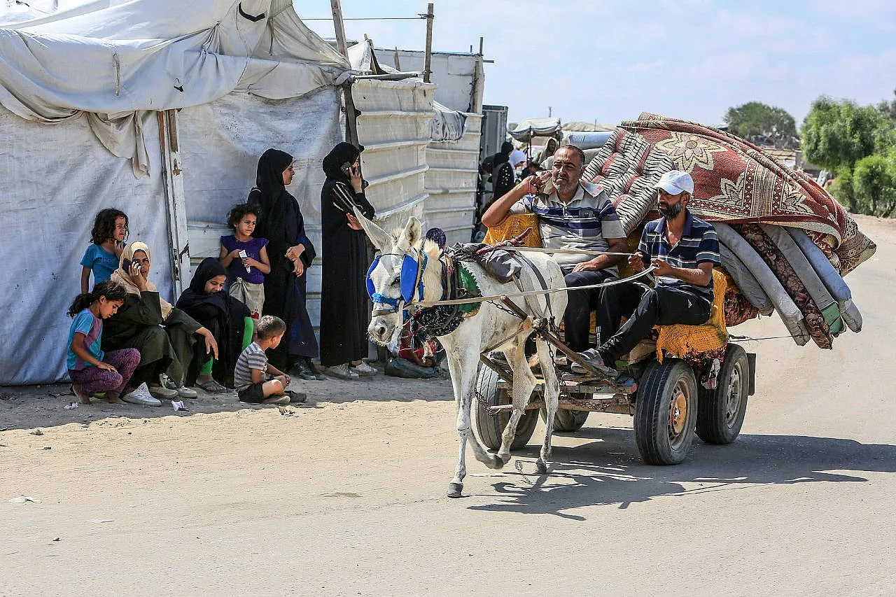 F240811ARK32-1280x853