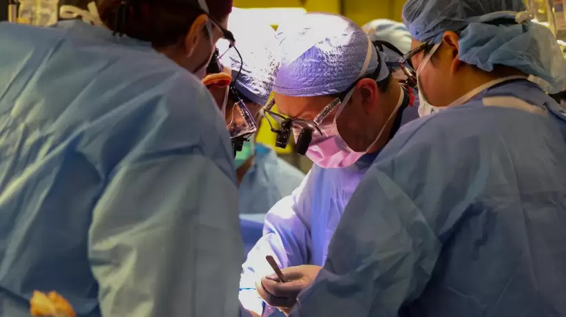 66044da00f64d__822x460