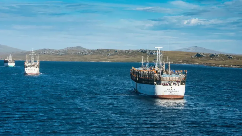 multimedia.grande.afafa27044c5b4ab.UGVzY2EtIFJlaW5vIFVuaWRvLSBNYWx2aW5hc19ncmFuZGUud2VicA==