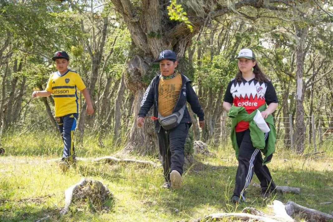 WhatsApp-Image-2025-01-11-at-13.43.59-1068x711