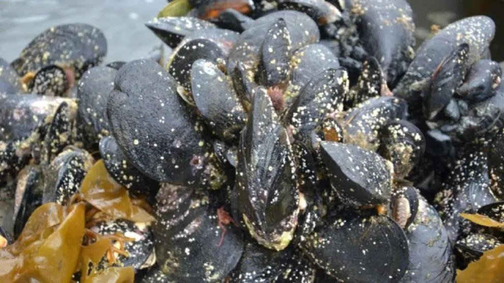 md - 2025-04-16T205443.855