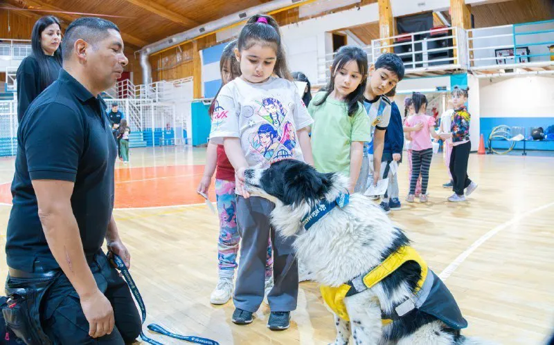 photo_5154544854032387080_x