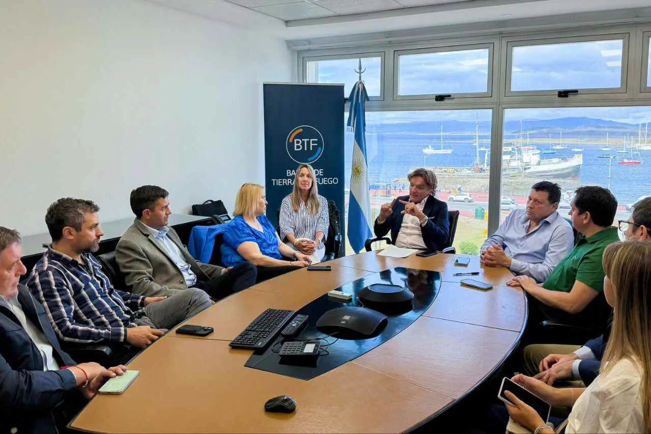 photo_4909067394093878145_y-1-2