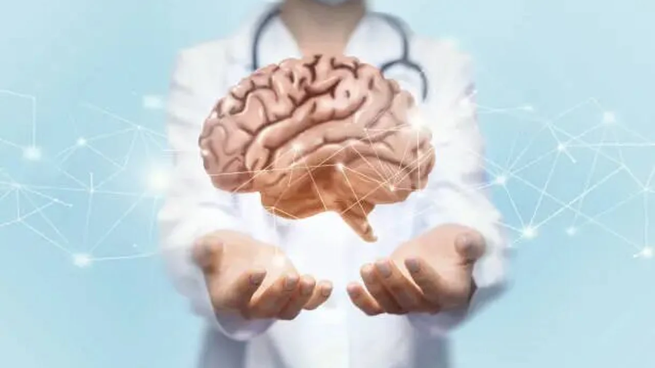 cerebro_69