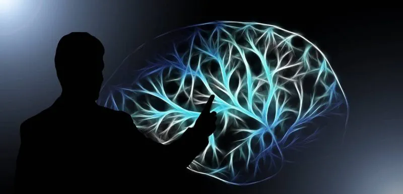 pensamiento-cerebro-e1519134340855