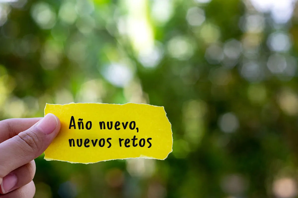 propositos-ano-nuevo