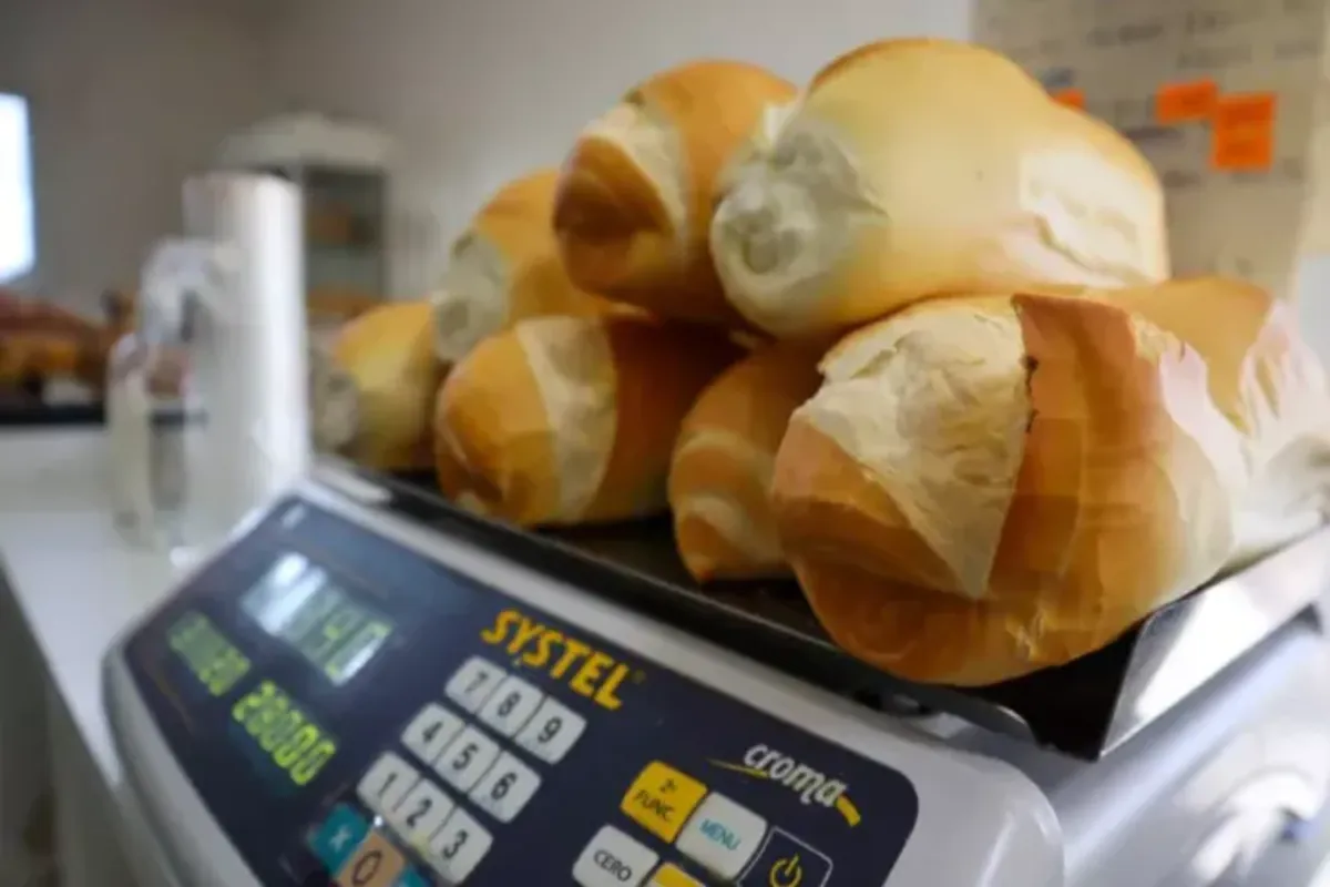 multimedia.normal.9abc886fe986764e.bm9ybWFsLndlYnA=