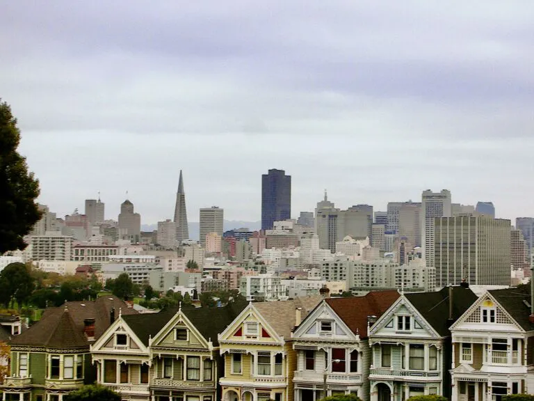 Painted-ladies-SFO-EDans-768x576