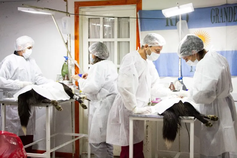 443a3e92-1996-432d-a68c-63aecca58b8f