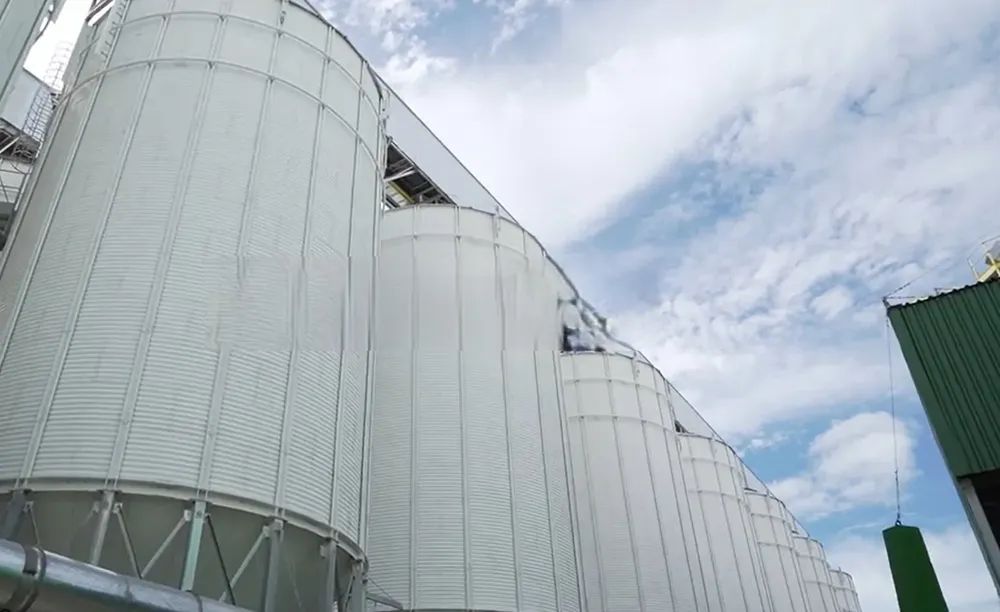 molino-arrocero-ilustrativa