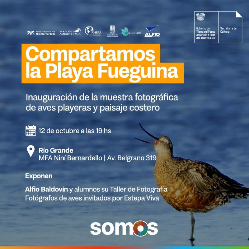 1de1a81c-42b7-41d8-915f-e137be2b726a