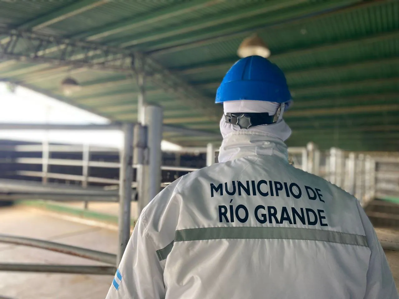 IMG_20250121_123400_495