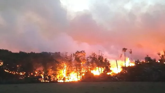 incendio-tolhuin-el-sureno-700x395