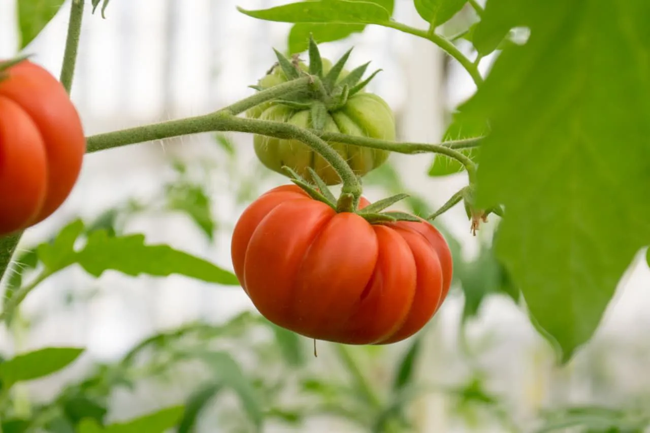 a4b250d6-aebd-4cf5-9ca2-9e234b394517