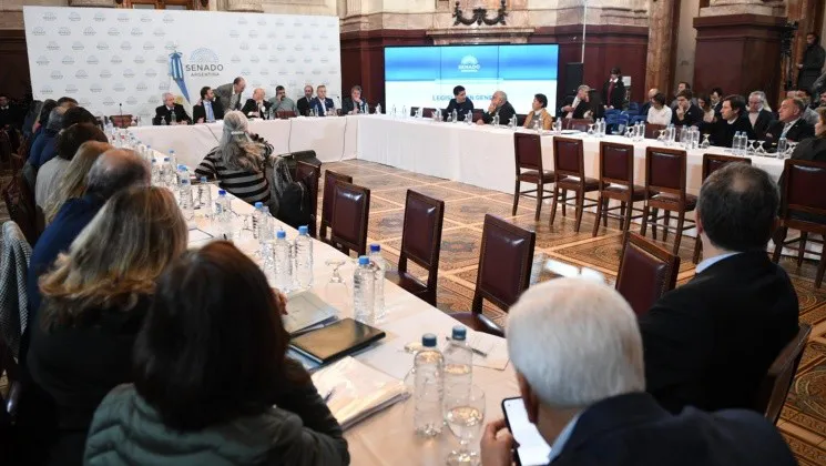 senado-ley-bases_1_crop1715873277680.jpeg_345970201