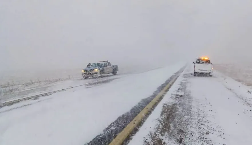 20251103095013_photo-2024-08-12-12-50-41-862x480