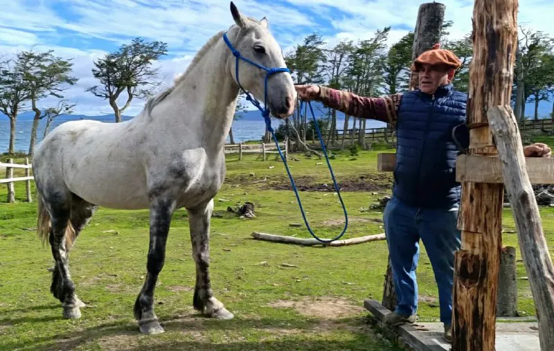 5f2d2446-9c58-4cd2-8e51-48a51619d835