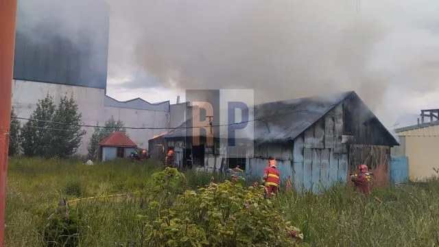 galpon-quemado-bronzovich