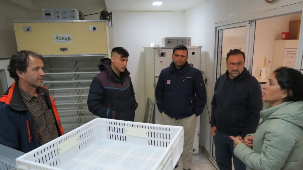 md - 2025-03-24T190506.487