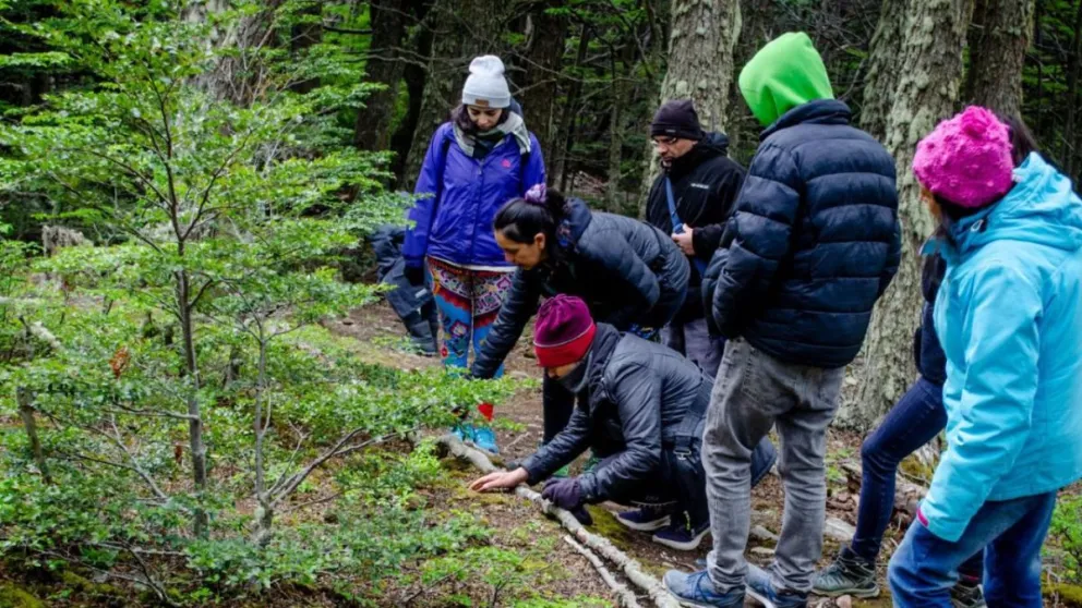 md - 2024-10-09T201411.895