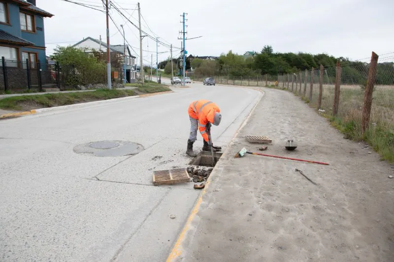 5109a8d6-cfb9-4240-bddc-303be67b36b5