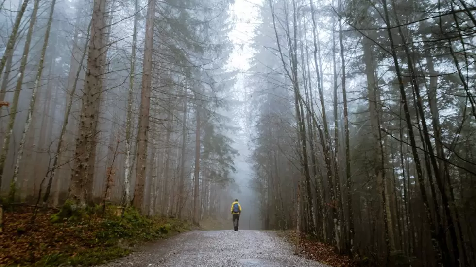 68d41128cb134__980x549