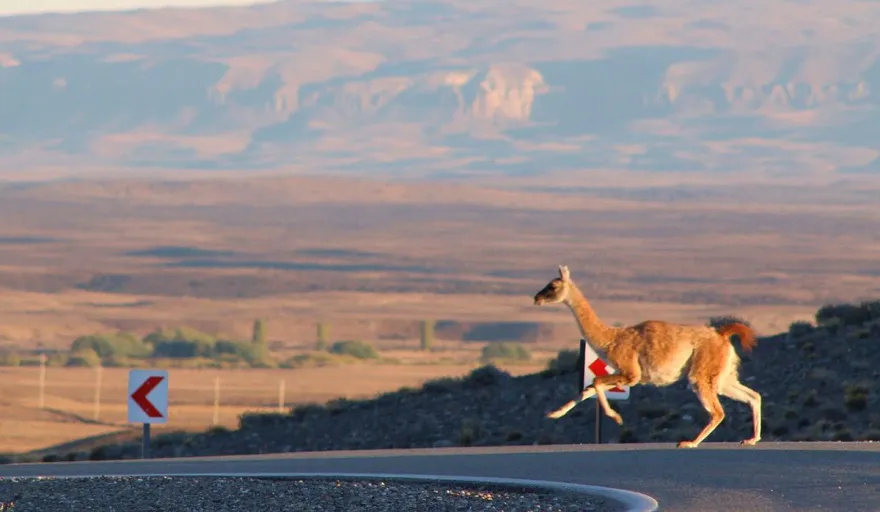 multimedia.normal.b05fb0cdc6fc07ad.bm9ybWFsLndlYnA=