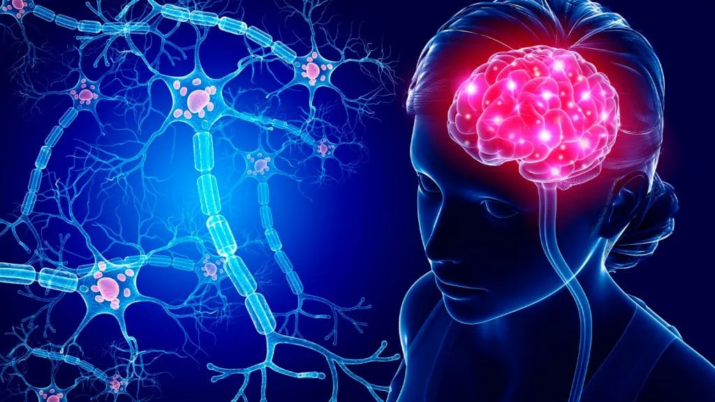 salud-cerebral-1024x576