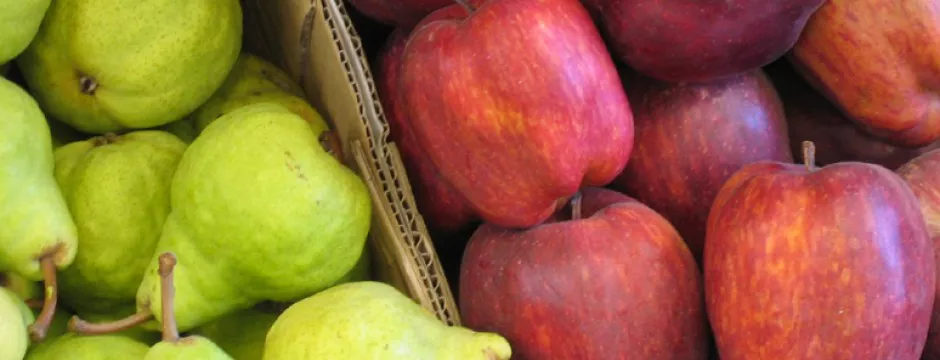 peras-manzanas