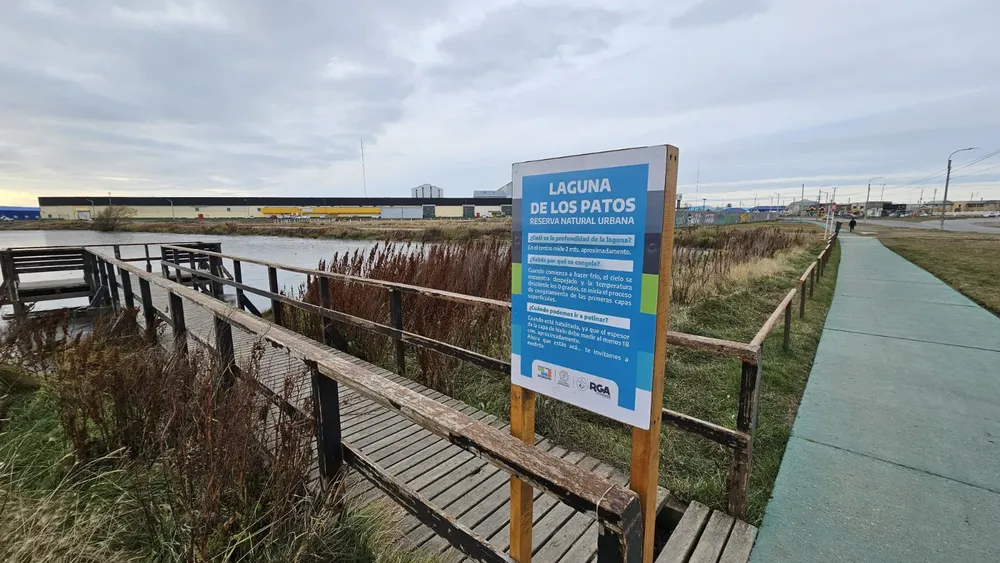 multimedia.normal.956bfbdb7193714e.bm9ybWFsLndlYnA=