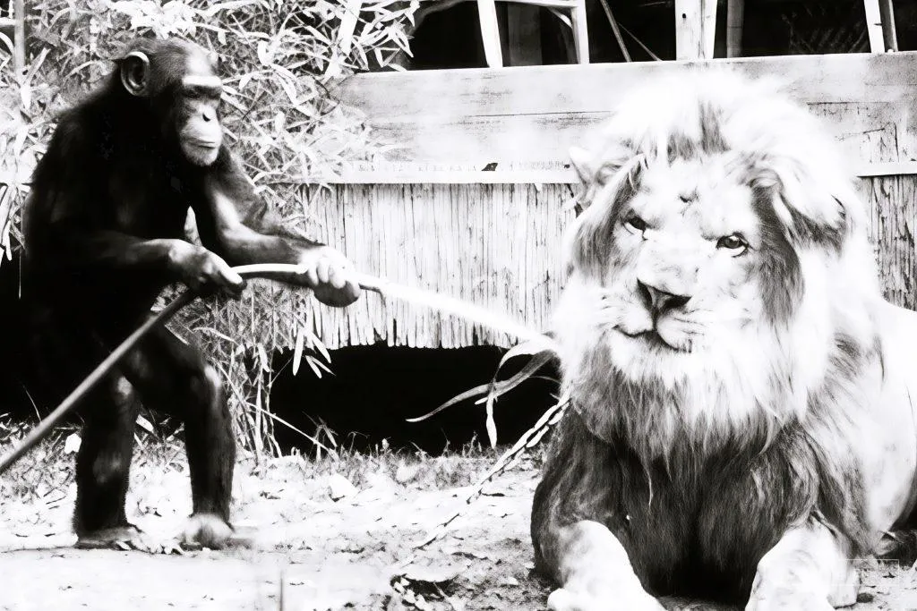 el-leon-bizco-po1-1024x683