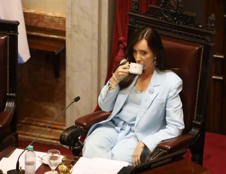 villarruel-senadojpg