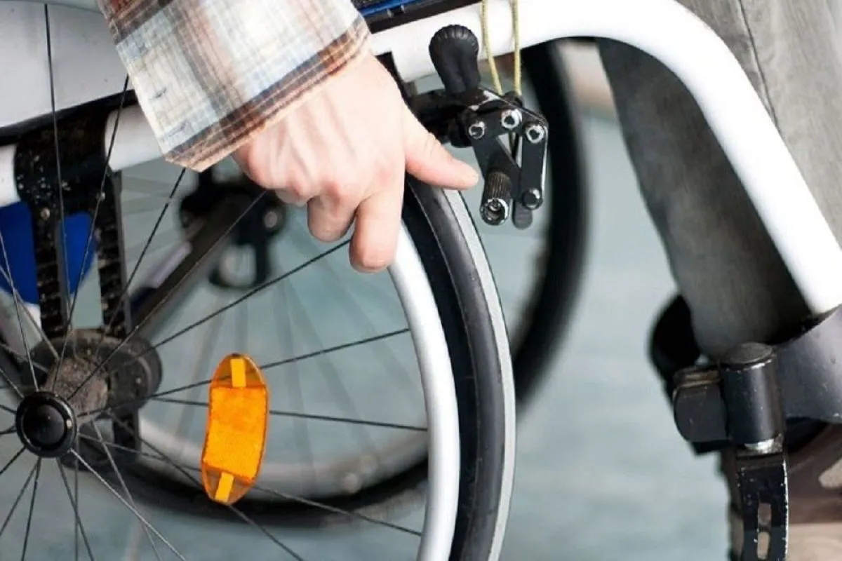 multimedia.normal.91a67a07a9d8e402.bm9ybWFsLndlYnA=