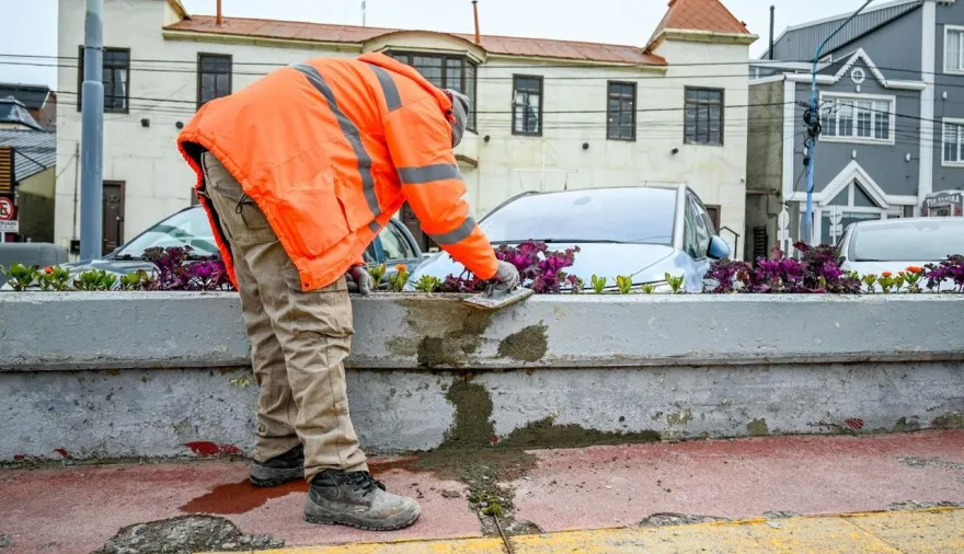 20241112170932_photo-5014892274412268642-y