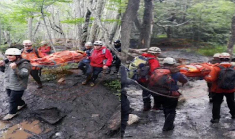 multimedia.normal.a042035d3335dd3e.bm9ybWFsLndlYnA=