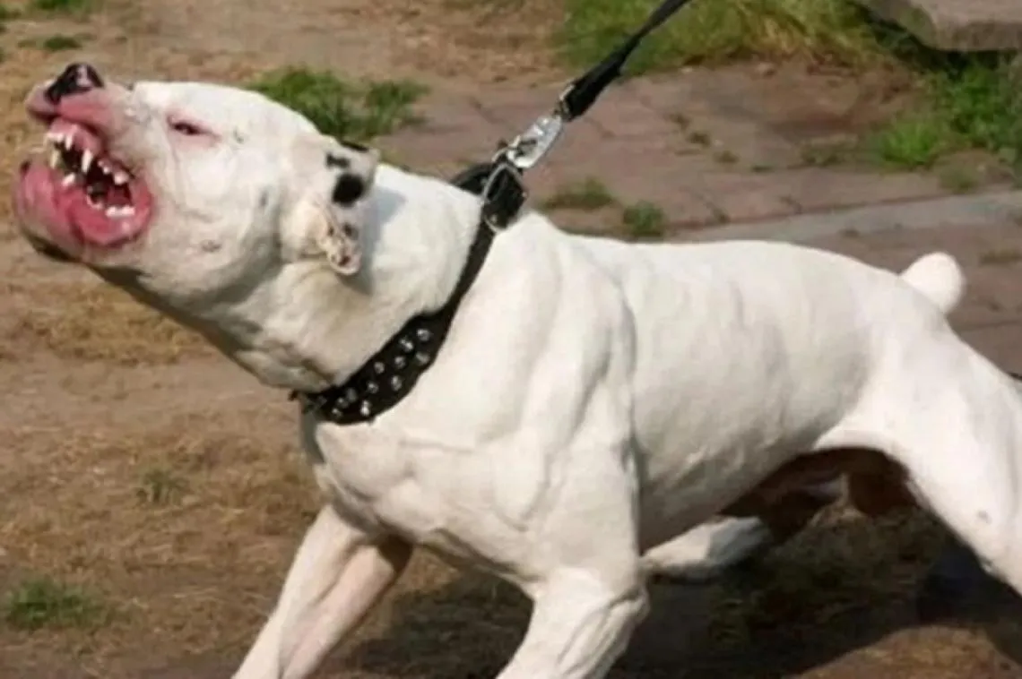 2ec9d01178c20e69eb7f45cda7128ad28abe19ef