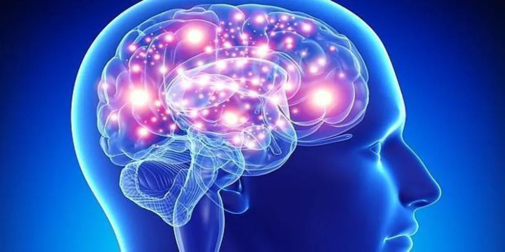 cerebro-abc-kUqC-kuh-kn7B--1024x512@abc