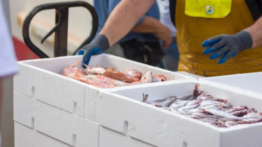 md - 2024-11-07T202051.663