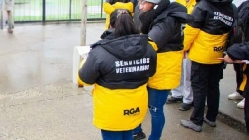 servicios-veterinarios