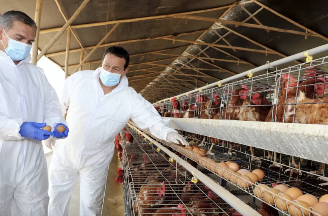 multimedia.normal.81debcd759cb737d.bm9ybWFsLndlYnA=