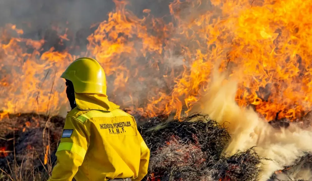 multimedia.grande.9b28e488579ac38b.496e63656e64696f7320466f72657374616c65735f6772616e64652e77656270