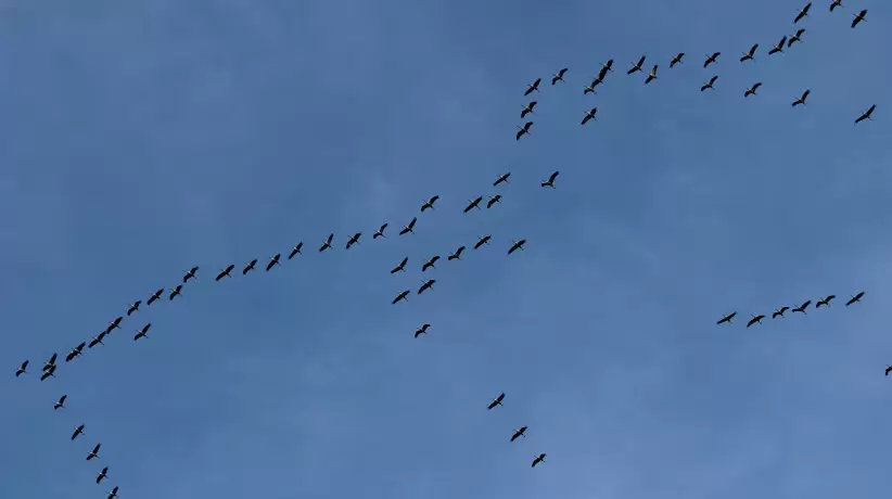 6662f930d5b9d__822x460