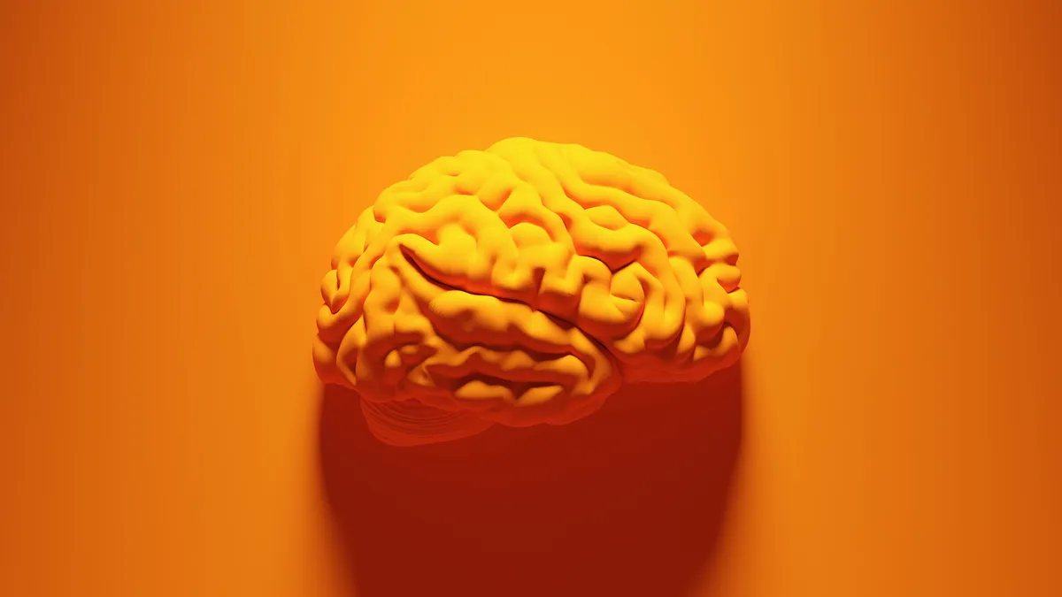 cerebro-memoria-2822623